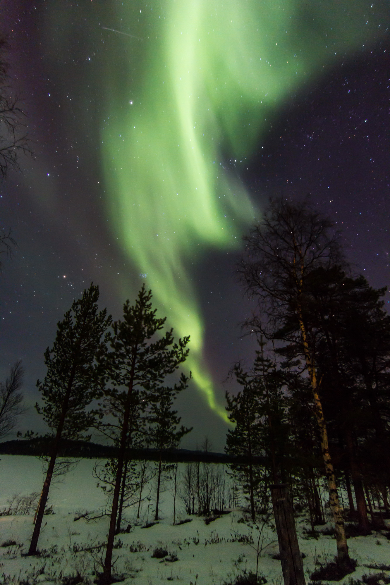 Aurora borealis in Lapland