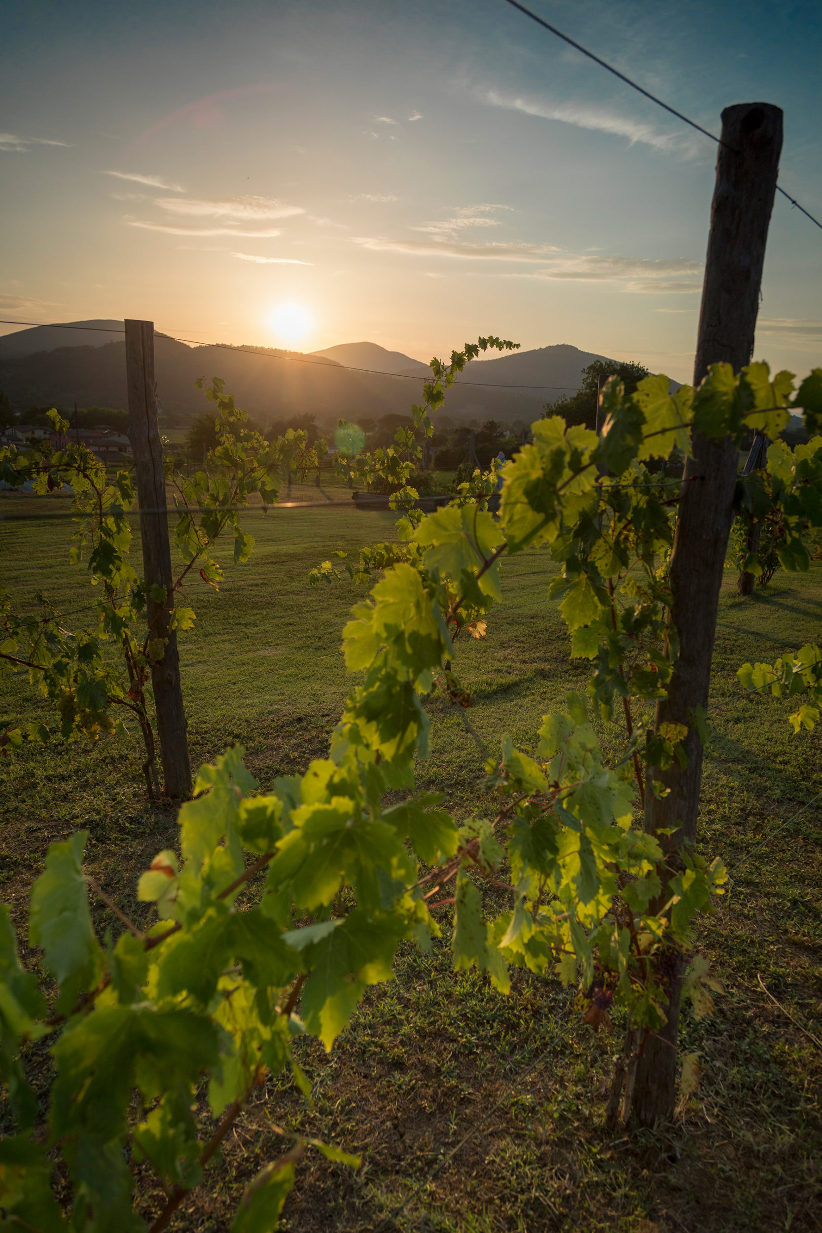 Sunset in Umbria, Italy